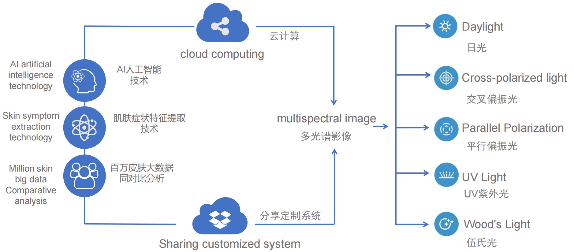 αναλυτής δέρματος meicet mc10 σύστημα cloud